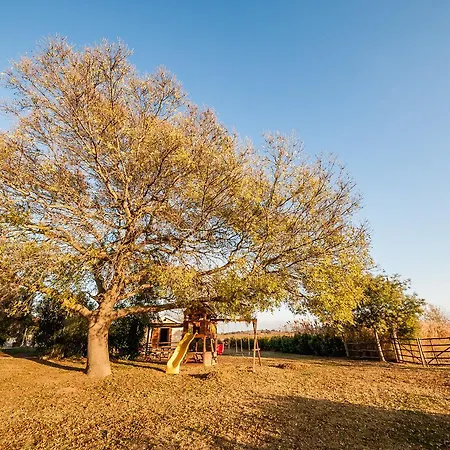 El Molino Farm stay Fonteblanda