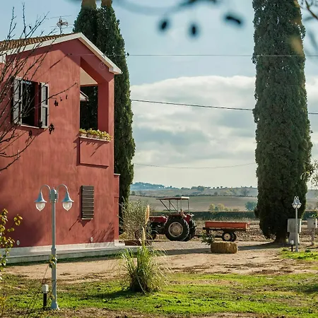 El Molino *